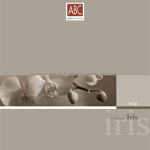Iris-notte-catalogo