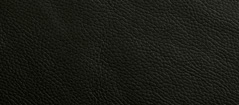 PL 01 - Pelle Nera